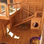 rabbit housing - boyles shed run noel 2