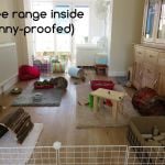rabbit housing - bunny proofed room raw